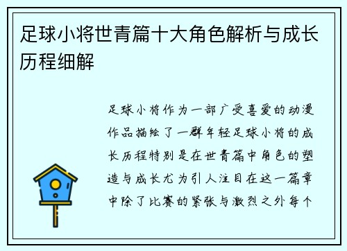 足球小将世青篇十大角色解析与成长历程细解